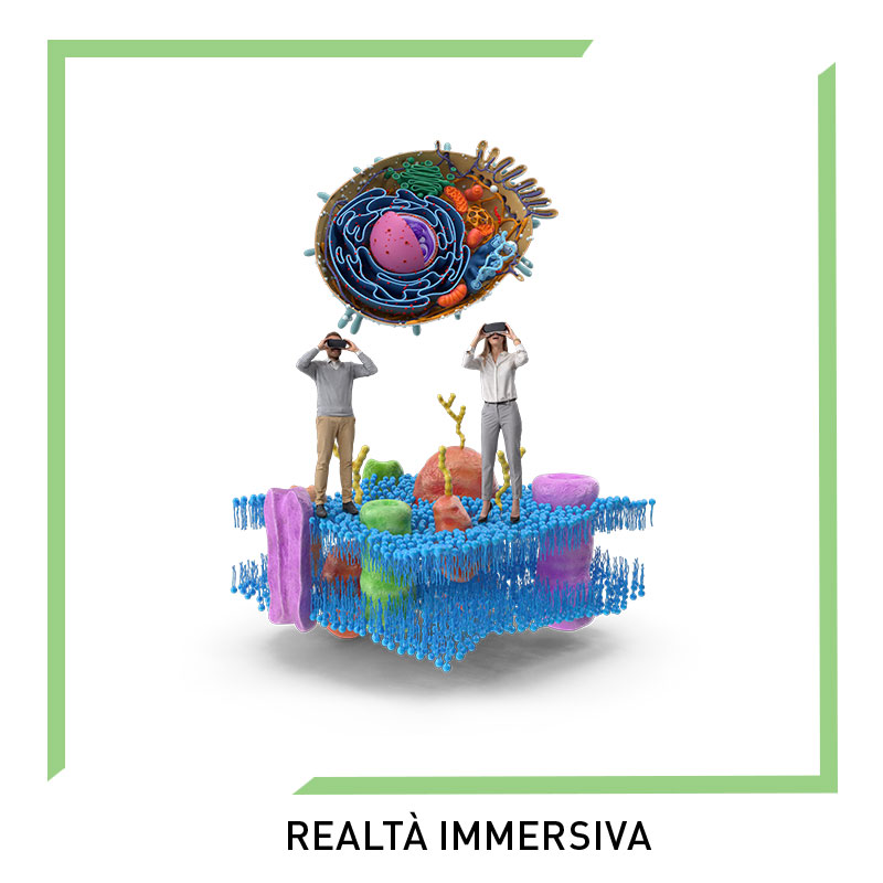FRI Life Science - Servizi