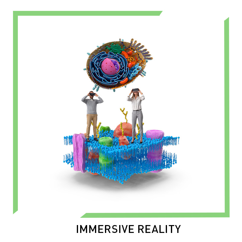 Immersive Reality - FRI Life